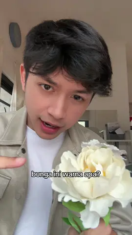 warnaa apa?
