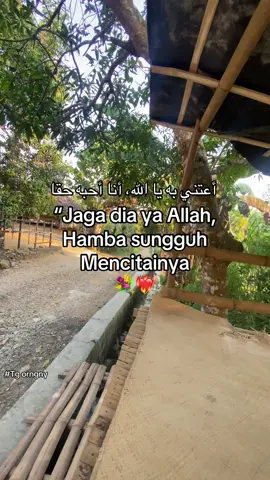 #reminder #syairarab #arabic #quatesaesthetic #arabicsong #selfreminder #syaircinta #quatesislami 