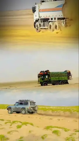 #QIIMEYNTA  copy link iitaabo 
