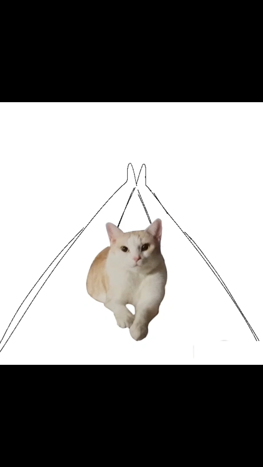 me and my cat. with the past day of cats (which was yesterday) #fyp #fypシ゚ #cats #animation #щп 