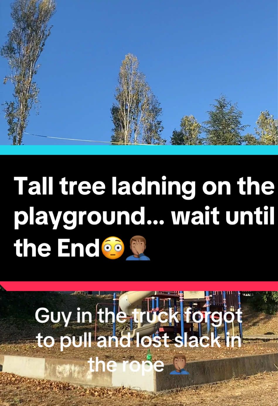 (I didn’t drop this tree)  I was a new guy on this jobsite at the time trying to learn “what they can teach me” and let me tell I learned a lot THAT DAY!😂😂 stay safe out there guys. Things don’t always go as planned🤦🏽‍♂️🤷🏽‍♂️  #treefails #oops #treefalling #fyp #foryoupage #hitthelike