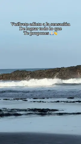 #bonitodia🌻 #lavidaesuna#siempresomosacosados#videovirale🥰🥰 