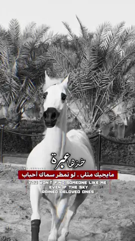 #CapCut #خيل_وخياله🐎 #خيل_وخياله🐎🖤ماشاءالله_اللهم_بارك🧿♥️ #fyp #viral 