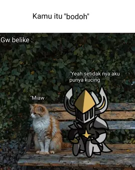 Tag kocheng kalian😞🗣️🥀🥀 ' ' ' ' #Edit#cat#sailorsong#memories#Argus#mlbb#spotify#fr#Bro#sad 