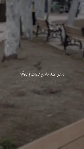 ئاوازی هەزار بولبوولی شەیدات بۆ ئەخوێنم): #foryou #foryoupage #pyfツviral_ #imravo✅ #rasty_lak #halabjay_shahid #سلێمانی_هەولێر_کەرکوک_دهۆک #fyppppppppppppppppppppppp 