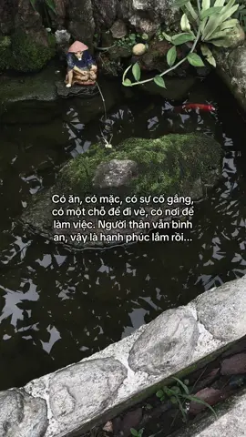 …#tamtrang #story 