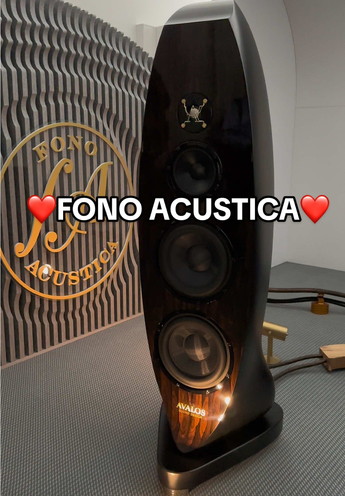 Beautiful Audiophile Girls & Big Bad John 🔥❤️⚙️ #audiophile #highend #audio #Home #stereo #sound #setup #hiend #hifi #speaker #system 