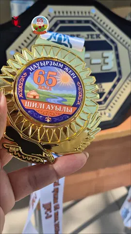 Қостанай облысы, Науырзым ауданы, Шилі ауылының 65 жылдығын тойлау барысында кәсіби жекпе-жектен Қазақстан Республикасының турнирі өтті