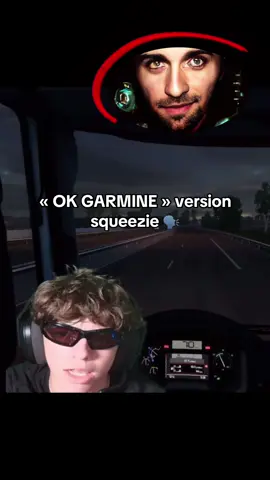 twitch : shinjitoofast #humour #trend #pourtoi #fyp #okgarmin #eurotruck #squeezie #foryou 