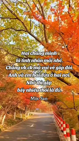 #tinhyêu #nhachaymoingay 