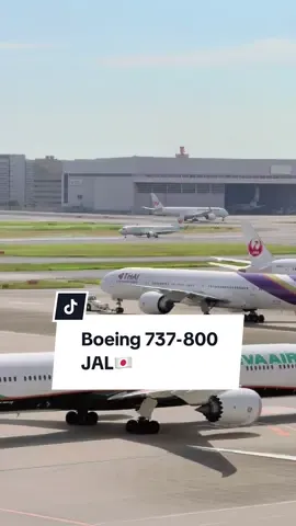 Boeing 737-800 Japan Airlines🇯🇵 737-800 landing at Runway 34L at Haneda Airport. #boeing #boeinglovers #boeing737800 #boeing737 #haneda #hanedaairport #airport #japan @AirNav Radar - Flight Tracker 