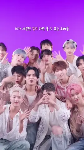 너가 세븐틴에 입덕하면 볼 수 있는 오빠들  #fyp #SEVENTEEN #이찬 #최한솔 #부승관 #이석민 #김민규 #서명호 #이지훈 #전원우 #권순영 #문준휘 #홍지수 #윤정한 #최승철 #캐럿 #추천 