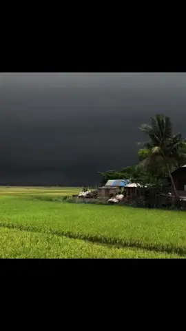 তাকে বলতে ইচ্ছে করে।🤗🥀