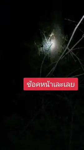 ผีทหารเขมงชัดมาก#ghost#ผีทหารเขมง#ชายแดนไทยกัมพูชา @แฟนบ่ว่าบ้อ @แฟนบ่ว่าบ้อ @แฟนบ่ว่าบ้อ 