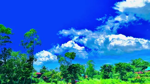 বুকেরি ভিতরে আমি রেখেছি তোমাকে যতনে..!🌿😅#প্রকৃতি #sky #unfrezzmyaccount #foryou #viralvideo #viral_video_tiktok #foryoupage #tiktokbangladesh #greenscreen #trending #fyp #viral 