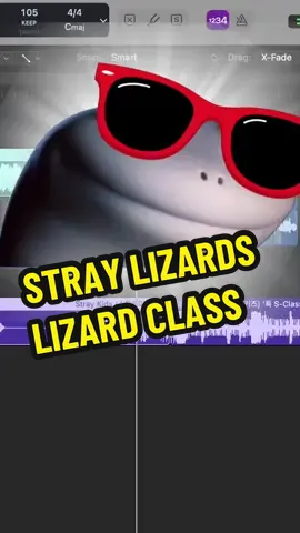 Counting stars 특LIZARD LIZARDLIZARD LIZARD LIZARDLIZARD LIZARD 별난 놈 (That’s ME!) 🦎 #lizard #lizardmeme #lizardremix #mashup #straykids #skz #sclass
