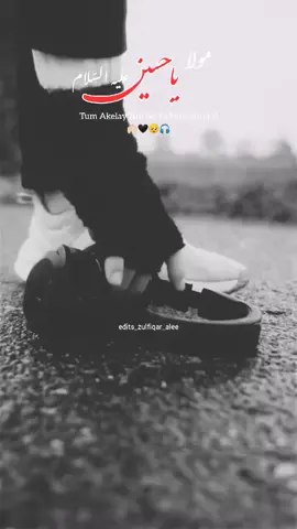 Part6 |🎧🥺 Sara Zamana Tuhmara Ya Hussain(ع)🙌🏻❤️#nadeemsarwar #edits_zulfiqar_alee 