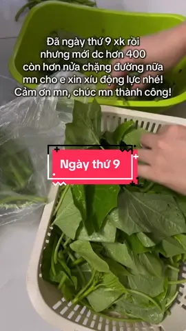 Hành trình xây kênh-ngày thứ 9. Còn hơn nửa chặng đường, mong mn tiếp thêm động lực. Chúc mn xk thành công #xaykenhtiktok #tapxaykenh #xuhuongtiktok #tiepthilienket #mathimotmi 