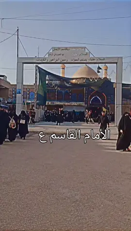 #أن تنكروني فأنا نجل الحسن سبط النبي المرتظى والمؤتمن 