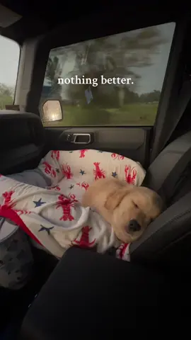 he makes my heart melt🥹 so snuggly!  #goldenretrieverpuppy #goldenretrieverlife #puppysoftiktok #nostalgia #adorablepets #petcontent #rainyday #fypシ゚viral 
