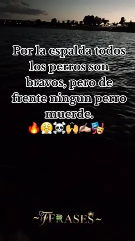 #✍️🍀frases_perronas🍀🙏 