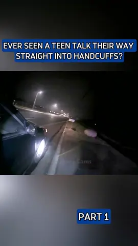 #cops #copsoftiktok 