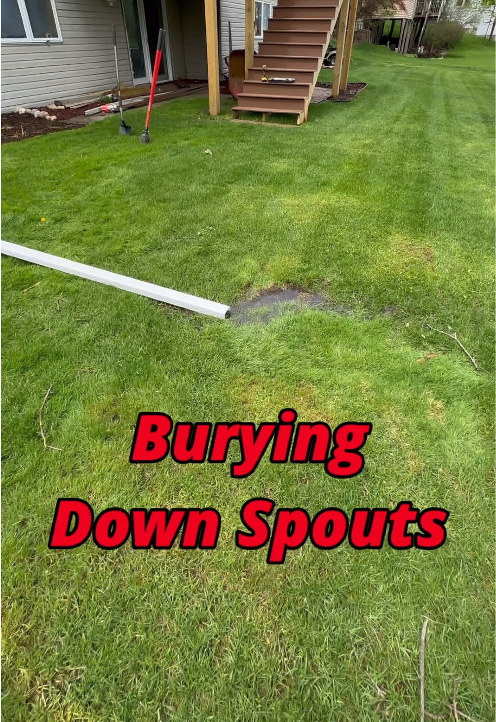 Burying my down spout and installing a French drain to get very moist soil to dry out. There is a giant ditch in the backyard here that sends extra water to our retention pond. 
