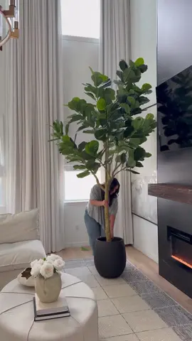 Gave my olive tree a break and replaced it with this stunning 10ft fiddle fig!! 😍😍👌🏼 Find it on my LTK Storefront https://liketk.it/5kL1f 