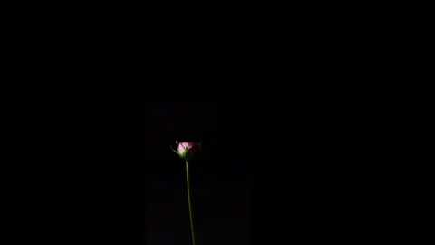 #للعقول_الراقية_فقط🤚🏻💙 