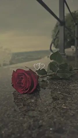#ــــــــــــــہہہـ٨ـــ٨ــ🥀 