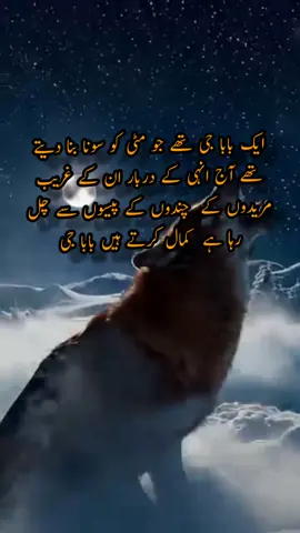 #stutas #pleasegoviral #ali #lion #foryoupageofficiall #urduline #quotes #saleemwrites 