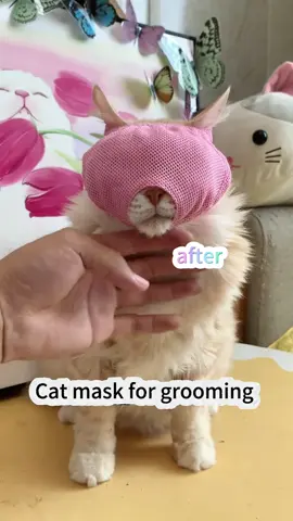 😼👁️ **Grooming made *stress-free* (for you *and* your cat)!** ✨ Meet the **Transparent Cat Eye Mask**—*50,000+ pet parents swear by it*! 🏆 See-through design keeps your kitty calm *and* your hands safe during nail trims, ear cleanings, or *sassy* vet visits. 🛁💅  👉 **SWIPE** to see why it’s a game-changer:  ✅ **Crystal-clear vision** = no blindfold panic, just purrs.  ✅ **Breathable cotton + baby-safe Velcro** = comfy, secure, *zero* choking risks.  ✅ **20 years of expertise** = trust the pros (and spoil your cat!).  💬 Comment “PEACE OF MIND” to upgrade your grooming toolkit!  🛒 **50K+ in stock** + **custom orders available**—tap the link in bio! 🔗  #CatGrooming #TransparentMask #StressFreePets #PetSafety #CatLovers #50kHappyHomes #CustomOrders  —  **P.S.** Even *dramatic* cats might tolerate this… *maybe*. 😼💤  —