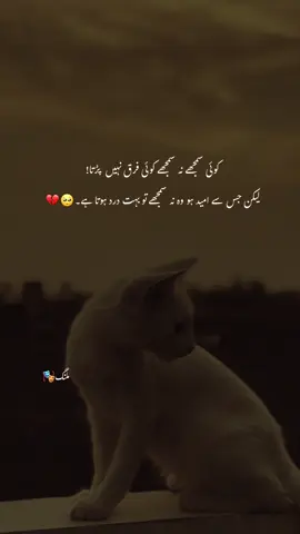 Han na 🥺💔 #malang#fyppppppppppppppppppp #fyppppppppppppppppppp #fyp #unfrezzmyaccount #views #viral #foryou