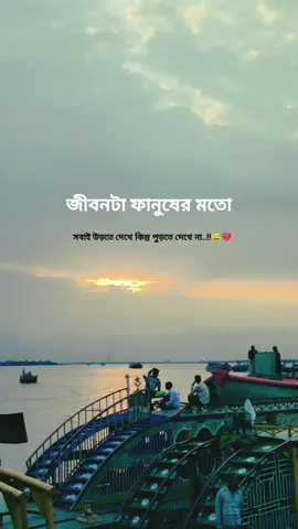 জীবনটা ফানুষের মতো সবাই উড়তে দেখে কিন্তু পুড়তে দেখে না..!!😅💔#foryou #fyp #foryoupage #bdtiktokofficial #md_salauddin_6 @TikTok 