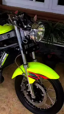 Ninja Kips.. Candu kaliii…