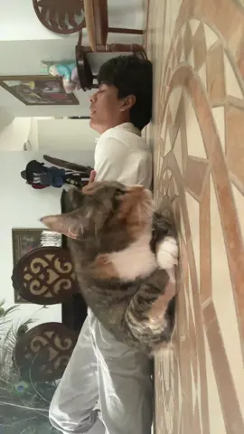 #meow 