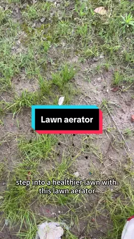 step into a healthier lawn with this lawn aerator!#lawncare #lawn #lawnaeration #gardening #aeration #aerator 