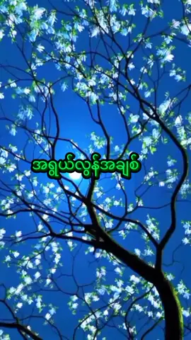 #ကောင်းချစ်ထွန်း  #သိပ်ချစ်မိနေတယ်🎵ခလေးရယ်🎵🎶 စိတ်တော့မညစ်စေချင်ပါဘူးမချောလေးရယ် #ချစ်တဲ့သူတွေဆီအရောက်သွား  #ကြိုက်ရင်အသဲလေးပေးခဲ့နော်❤❤❤ 