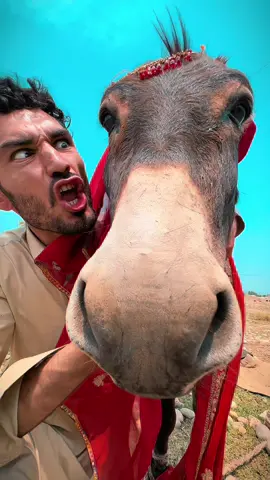 Madam 😂🤣🤣#foryou #funny #viralvideo #foryoupage #trending #khattak #viral 
