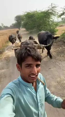 #faisal#kambo #interesting #viralvideo #❤️❤️🥰🥰😘😘😍 