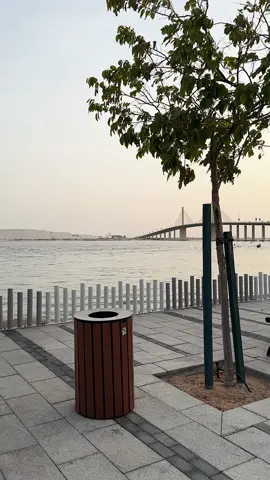 #الحدريات_ابوظبي #abudhabi #أبوظبي #اكسبلور #اكسبلورexplore 