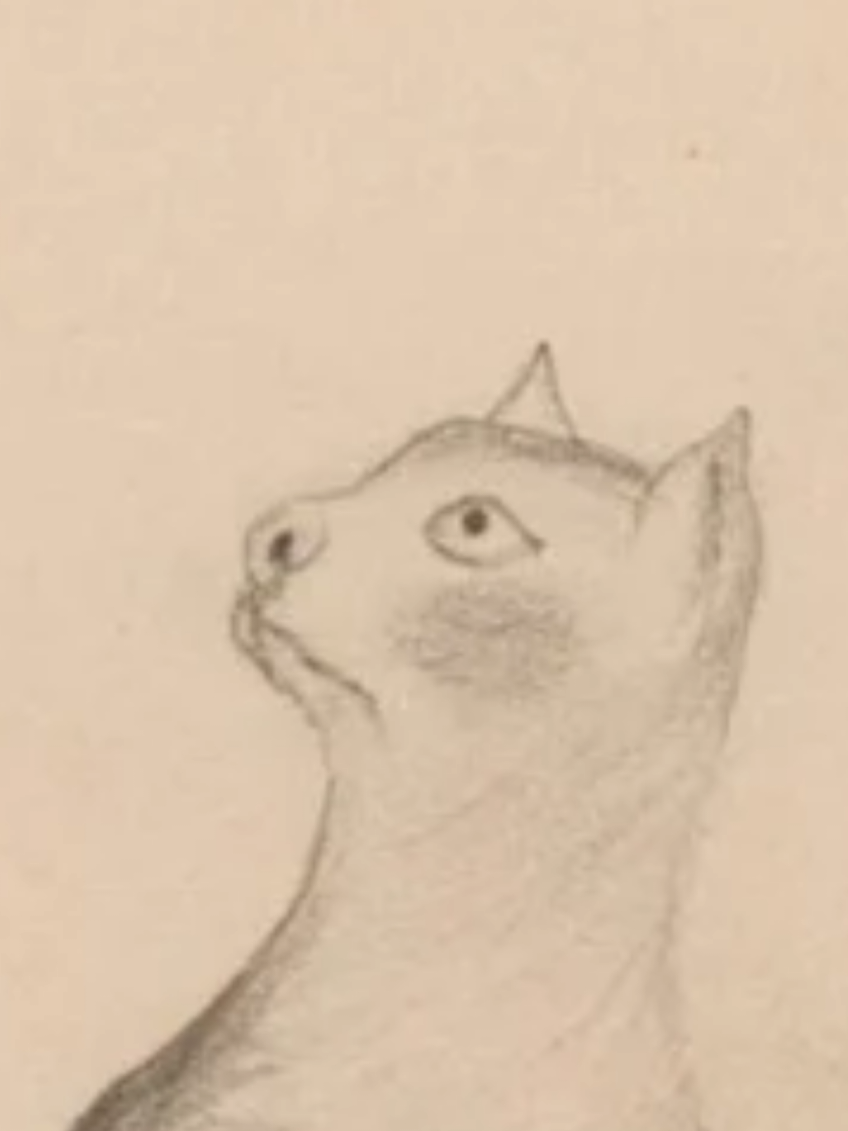Alright, the absolute geniuses @gettymuseum have thrown down another epic animal trend gauntlet. Here is our contribution of cats and kitty cats 🐈 🐱 😻 🐈‍⬛️  #artmuseum #art #arthistory #folkart #cats 