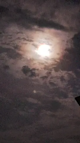 In the quiet, I am wounded, Bleeding longing with words unspoken, The moon bears witness to our story, But you’re gone, lost beyond my sight. Do you miss me like I miss you? Every night I ask the dark, Old memories still burning bright, Endless longing fills my heart. #EverHits #jamie9721 #Heartbreak #DoYouMissMe #BleedingSoul