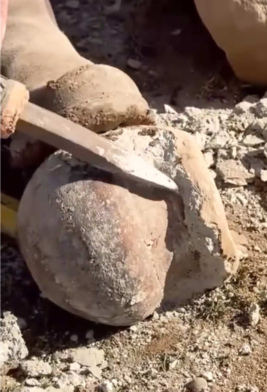 #metaldetector #treasure #gold #findgold #treasurehunt #foryou 