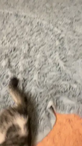 😈💖