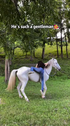 Some friendships don’t need words 🐴💛#horse #horses #horsesoftiktok #horselovers #fyp #foryou #Love