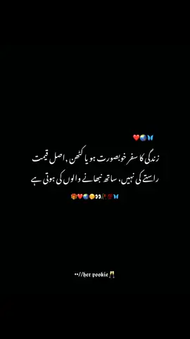 🌏❤💯#viral_video #fyp #foru #support_me 