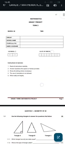 Grade 7 Mathematics Project Term 3 Paper #grade7 #womensday2025 #project #math #term3 #quadrilateral #angles #triangle 
