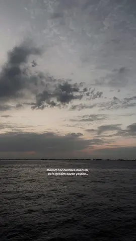 #fypシ゚ 