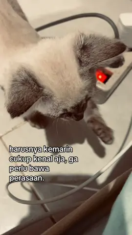 #xybca #fypシ゚ 